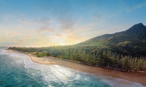 Banner - HT Beach Sunrise