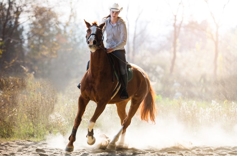 Cicada Ho Tram - Forest and Horseback Riding